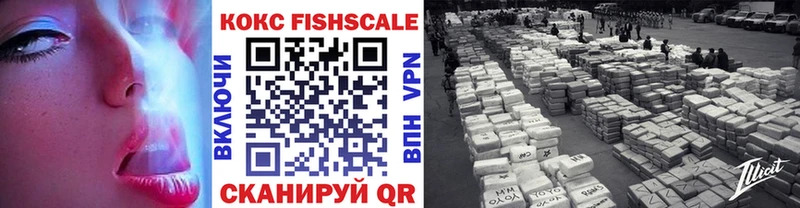Купить закладки  Лесозаводск  COCAIN Эквадор 