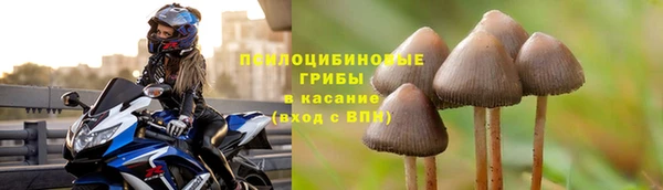 СК Кинешма