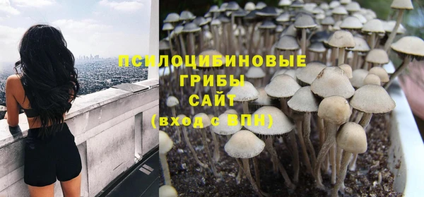 соль курить ск Киреевск