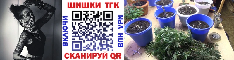 Бошки марихуана ГИДРОПОН  Купить закладки  Лесозаводск 